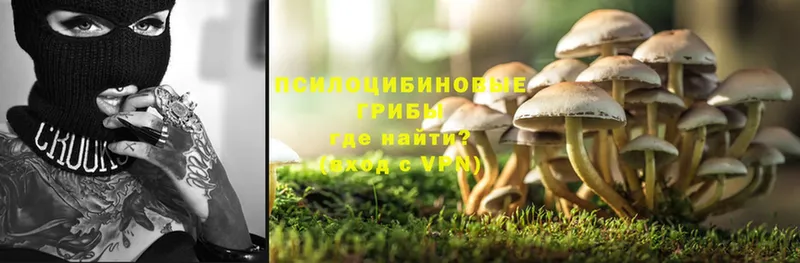 Псилоцибиновые грибы Magic Shrooms  Бородино 